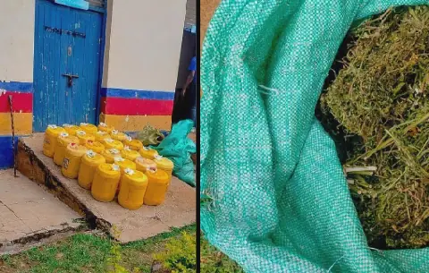 Police recover suspected bhang, chang’aa in Vihiga drug operation