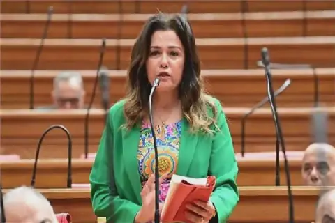 Egypt's Sahr Tolat Mostafa Elected as Chair of Tourism and Civil Aviation Committee