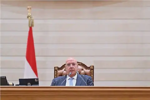 Egyptian Parliament Announces Results of Committee Elections