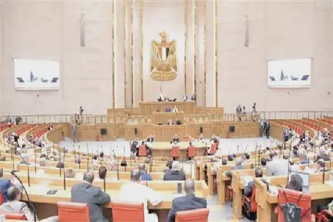 Egyptian Parliament Approves Results of Committee Elections