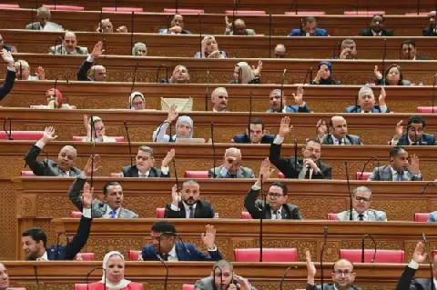 Egypt's Parliament Holds Elections for Specialized Committees