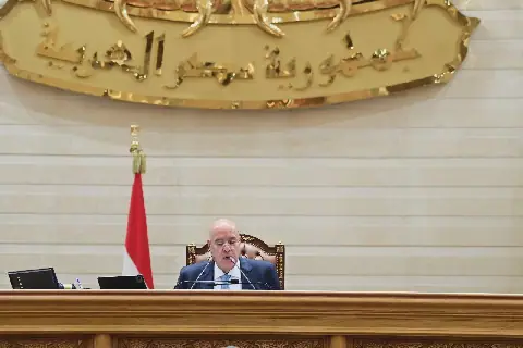 Egyptian Parliament Announces Complete Formation of Committees