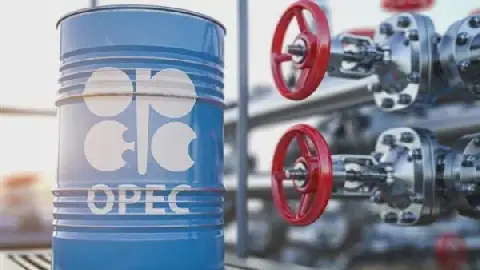 OPEC+ Agrees to Keep Oil Production Targets Unchanged in November