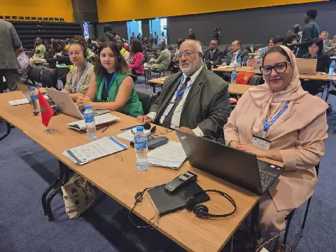 Morocco Proposes Multi-Level Approach to Counter Disinformation