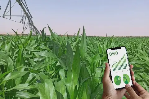Algerian and Italian Universities Partner in Precision and Digital Agriculture
