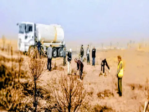 Algeria's Khenchela Province Continues to Compensate Fire Victims