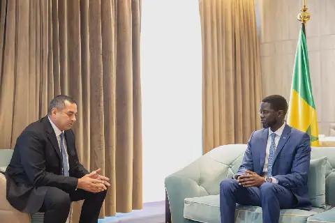 Le Président sénégalais Bassirou Diomaye Faye renforce les liens économiques avec l'Égypte
