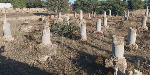 L'héritage d'Aurelius de Carthage, figure clé de l'unité chrétienne