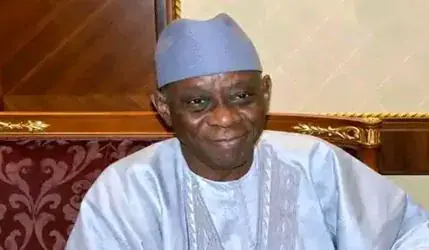 Senegalese Writer and Statesman Cheikh Hamidou Kane Dies at 98