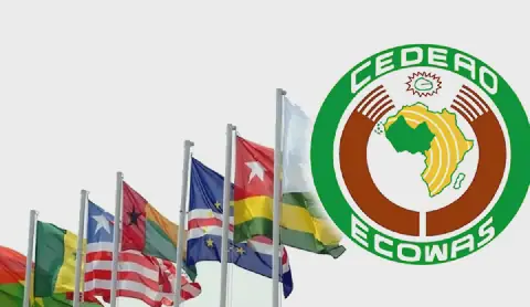 Senegal's Local Elections Face Uncertainty as CEDEAO Gets Involved