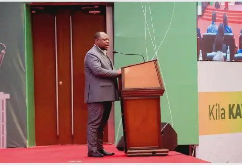 Tanzania Connects Power to Over a Million Households