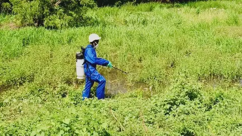 Burkina Faso Launches Third Passage of JNLAV to Combat Malaria
