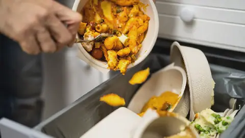 Over 1 billion meals wasted daily worldwide