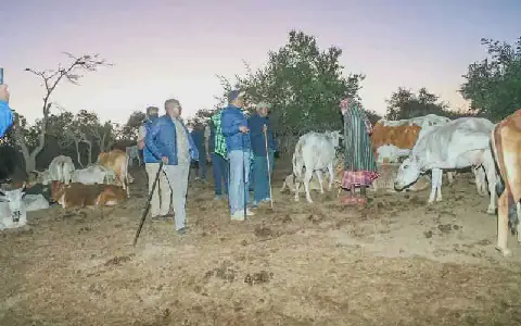 Bandits kill eight people, steal over 300 cattle and goats in Samburu