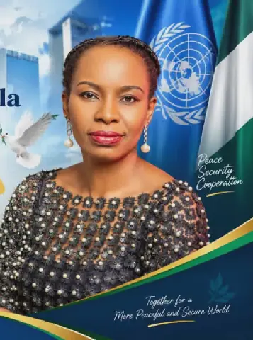 Amb. Chika Jadesola Orji Elected Chairperson of Diplomatic Assembly Peace, Security Committee