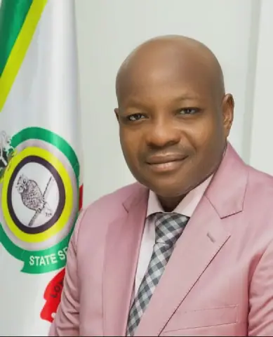 Public Affairs Analyst Praises DSS Director-General Oluwatosin Ajayi