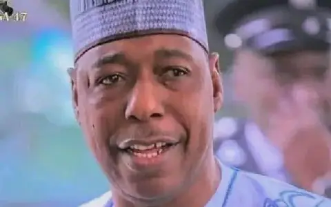 ADC asks Zulum to explain video threatening arrests over ‘Tinubu Must Go’ slogan