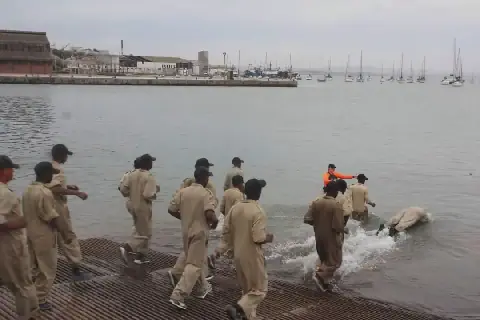 ’n Vroeëre groep rekrute besig met opleiding by SAS Saldanha, die vloot se opleidingseenheid. Foto: SANW