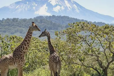 Tanzania tourism eyes IPU windfall