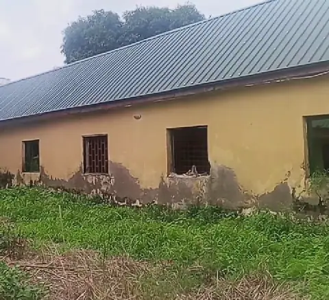 Darkness, decay, unpaid wages: Inside FCT’s abandoned Kuchiko rehabilitation centre