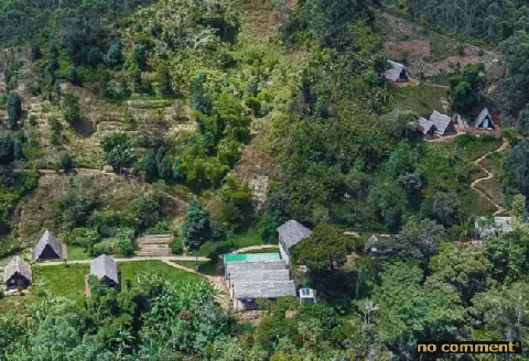 Vohimana: A Hidden Gem of Biodiversity in Madagascar