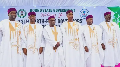 Northeast Governors' Forum Adopts Regional Energy Agenda, Pushes for Mambila Hydropower Completion