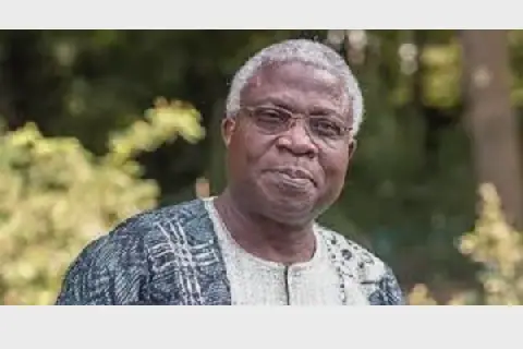 Nigerian Literary Scene Abuzz with Maryo Liver's 'Aunt Leaf'