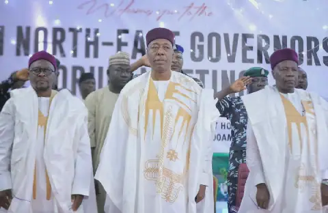 North East Govs Urge Tinubu to Revive Oil Exploration in Borno