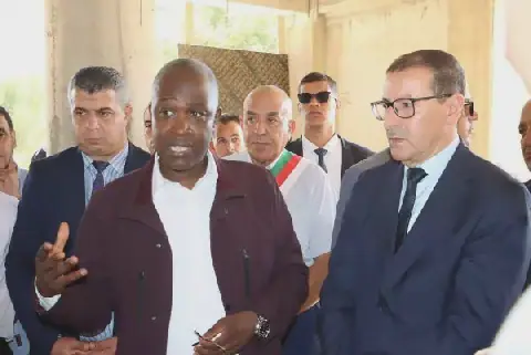 Volontariat : Structuration sur mesure pour la jeunesse