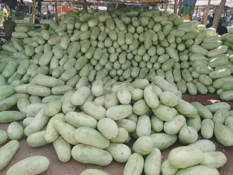 Vente de pastèque à Bamako : un commerce juteux confronté aux défis de production et de conservation