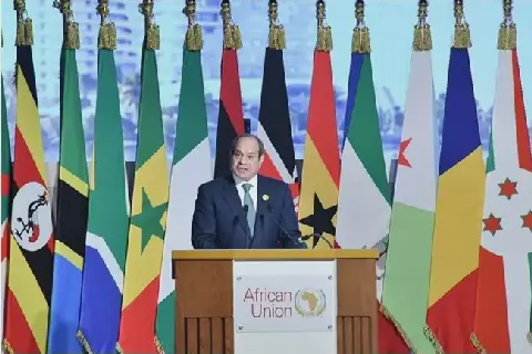 Egypt Rejects External Interference in African States' Affairs