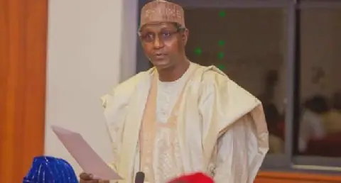 Northern Senators Demand Military Action Against Adamawa Insurgents