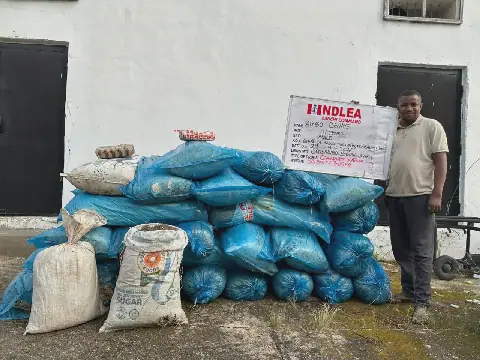 NDLEA intercepts multi-billion naira cannabis, codeine consignments at Nigerian ports