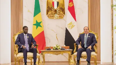 Diplomatie : Le Sénégal et l'Égypte renforcent leur partenariat bilatéral