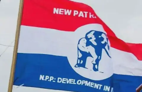 Ghana's NPP Rebuilding Efforts Offer Lessons for Ruling NDC Ahead of 2028 Elections
