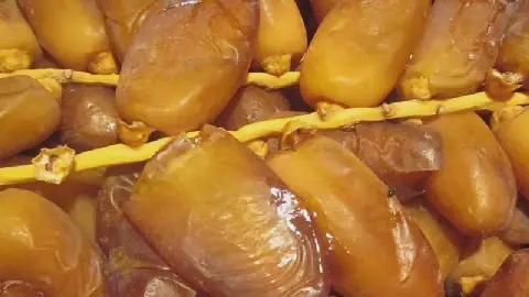 Tunisia Plans to Expand and Consolidate its Date Export Markets