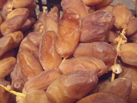 Tunisia Plans to Expand and Consolidate its Position in Export Markets