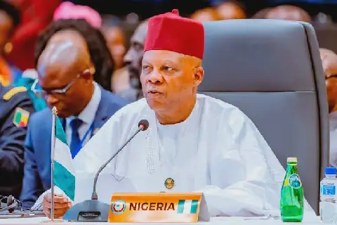 Nigeria Needs $410bn Additional Investment To Achieve Net-Zero Pathway