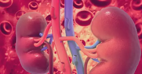 Kidney health