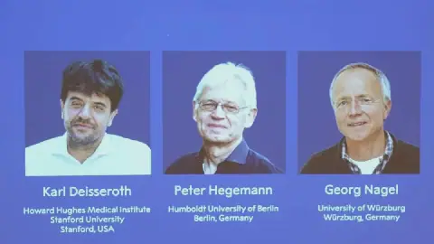 Scientists Karla Daiserooth, Peter Hegemann, and Georg Nagel Win 2026 Nobel Prize in Medicine