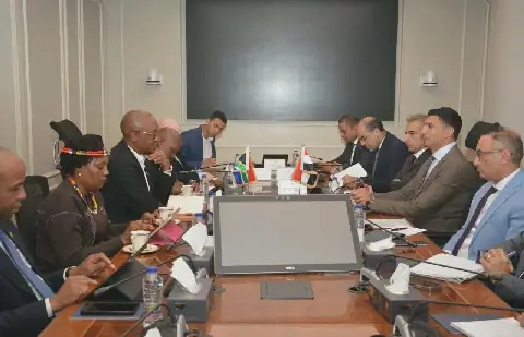 Egypt, South Africa explore industrial integration