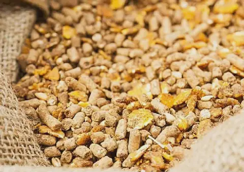 الأعلاف أرشيفية