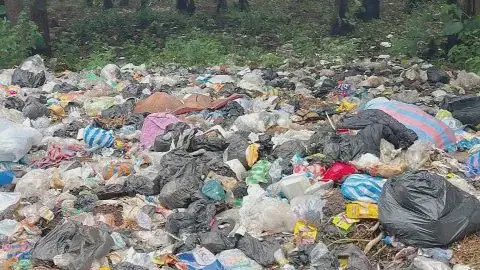 Refuse Piles Choke Nyohini, Gumani Forest Reserves in Tamale