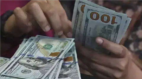 Egyptian Pound Steady Against US Dollar on Monday, October 5, 2026