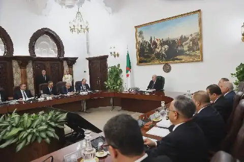 Algerian President's Decision to Increase Wages and Not Impose New Taxes
