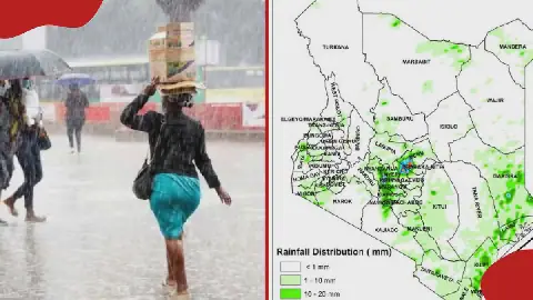 Weatherman