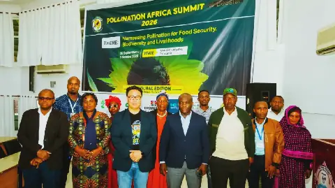 Australian Firm Unveils Virtual Beehive Sensor Technology in Tanzania
