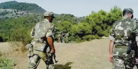 Algerian Army Kills Terrorist in Azazga, Foils Various Crimes