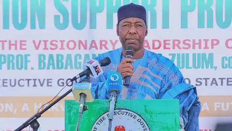 North-East governors urge restart of Borno oil exploration