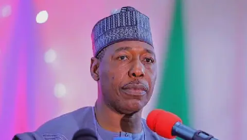 Zulum denies ordering arrest of ‘TinubuMustGo’ protesters